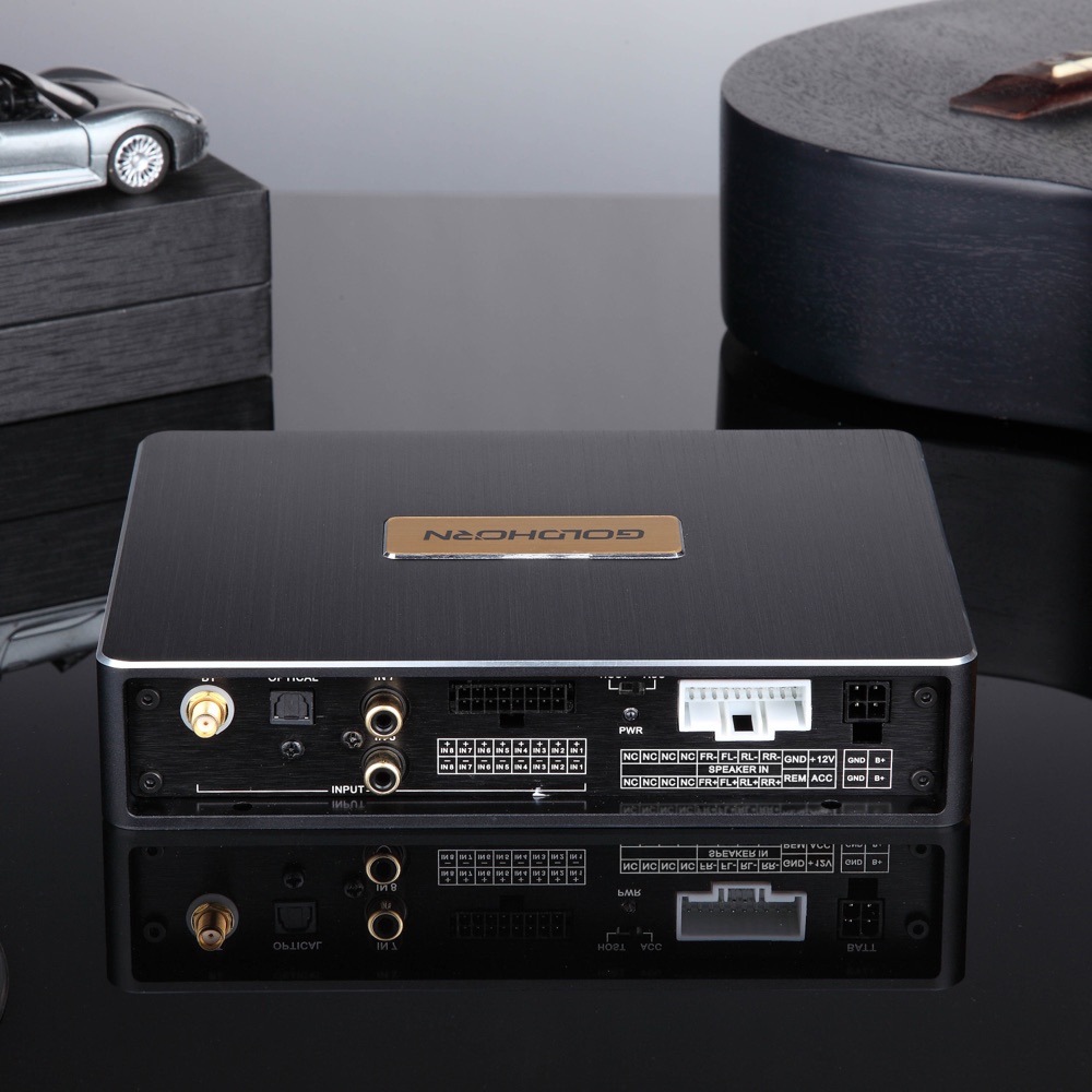Goldhorn DSP10 獨立 DSP 處理器 圖 2